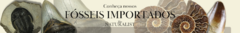 Banner da categoria Fósseis