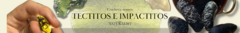 Banner da categoria Tectitos e Impactitos