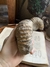Amonita Acanthoceras sp. REF S012 - comprar online