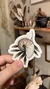 Print NAUTILUS A4 - THE NATURALIST