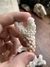 Coral Pocillopora sp. REF 006 - comprar online