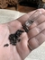 Micrometeoritos Chelyabinsk Sortido