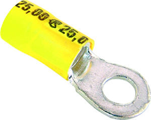 Terminal Anel 4,6mm AM - 10pc