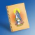 Caderno Nossa Senhora da Imaculada Conceição