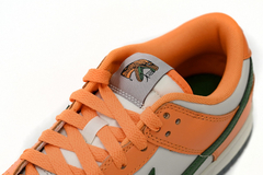 Nike Dunk Low 'Rattlers' x Florida A&M University en internet