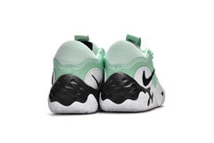 PG 6 EP Black Mint Green en internet
