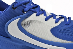 Imagen de Nike Zoom Freak 4 "Laser Blue"