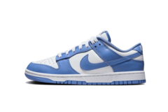 STOCK - Nike Dunk Low 'Coast'