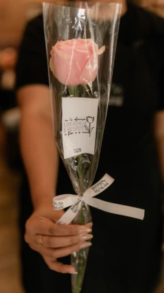 Rosa rosa bebê na manguinha