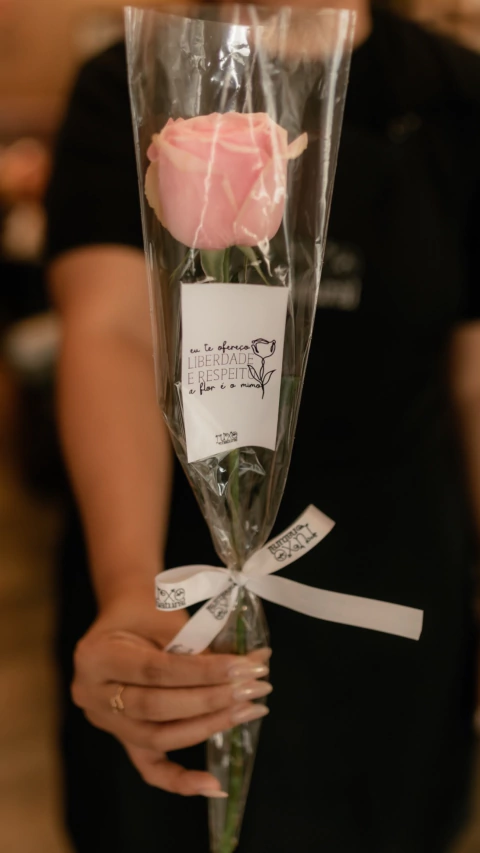 Rosa rosa bebê na manguinha