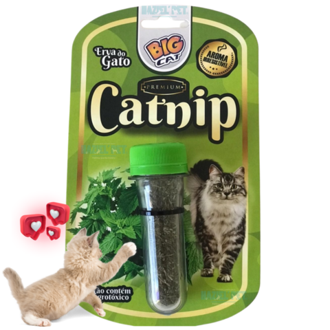 Catnip Erva do gato Bigcat