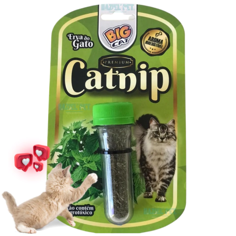Catnip Erva do gato Bigcat