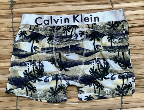 Cueca Nacional G - comprar online