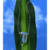 COLAR CRISTAL IANSÃ PRATA/950 - comprar online