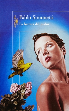La Barrera del Pudor Pablo Simonetti Libro Nuevo