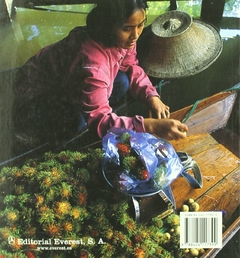 El Sabor de Tailandia Libro Nuevo Everest - comprar en línea