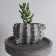 Molde de Vaso Cacto Ref-883 - tienda online