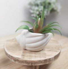 Molde De Silicone Para Vaso Concha Ref 260 - comprar online