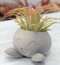 Molde de Silicone Para Vaso Oddish Ref 788