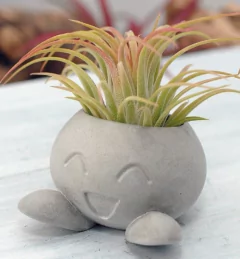 Molde de Silicone Para Vaso Oddish Ref 788
