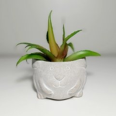 Molde de Silicone Vaso Ref 662 - comprar online