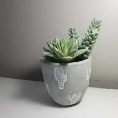 Molde De Silicone Para Vaso de Concreto Cactus Ref 621 - comprar online