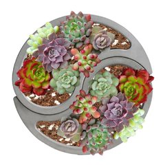Molde de Vaso Yin Yang Ref-134
