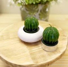 Molde de Silicone Cactos Ref 310