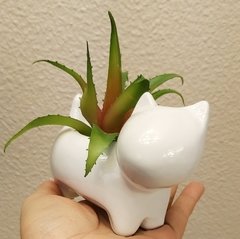 Molde de Vaso Gato Ref-038