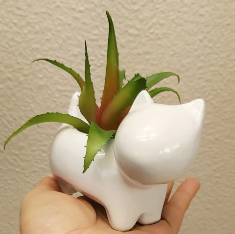 Molde de Vaso Gato Ref 1003