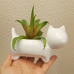Molde de Vaso Gato Ref-038 - comprar online