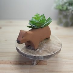 Molde de Vaso Capivara Ref-597