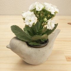 Molde de Vaso Pássaro Ref-475