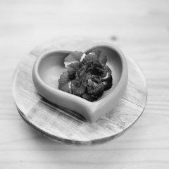 Molde de Silicone Love M Ref-595