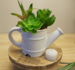 Molde de Silicone de Vaso Regador G Ref 369
