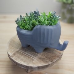 Molde de Silicone Vaso Elefante Ref-590 en internet