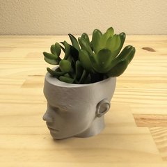 Molde de Silicone de Vaso Face Ref 449 na internet