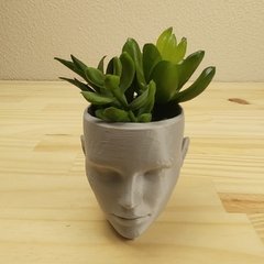 Molde de Silicone de Vaso Face Ref 449 - loja online