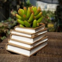 Molde de Silicone Para Vaso Livros GG 18cm Ref 689