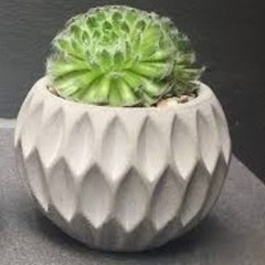 Molde Externo de Vaso G Ref-420
