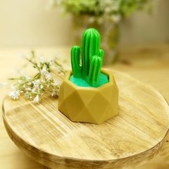 Molde de Silicone Cacto Ref 304 na internet