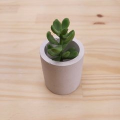 Molde de Silicone de Cilindro 5,5x 5 x 0,5cm PP Ref-337 - comprar online