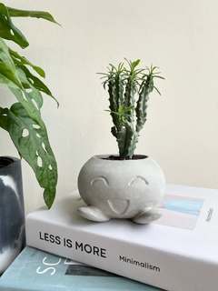 Molde de Silicone Para Vaso Oddish Ref818 en internet