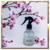Home Spray de Flor de Cerejeira