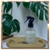 Home Spray de Figo - comprar online