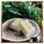 Wax Melts de Capim Limão - Olorata