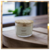 Vela Aromática Cozy de Madeira Densa - loja online