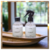 Kit Aromatizador de Ambiente (linha Pet)