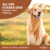 Diamond Naturals All Life Stages Dog (18 kg) - Dog supplements