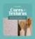 Carrusel ConcretAM - Design e funcionalidade